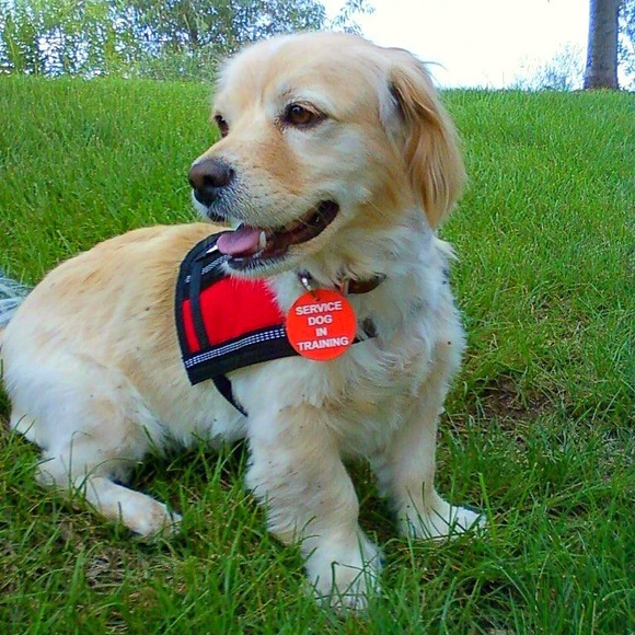 New Bedford Fair Lifestyles 2-pc Suit - Picture 9 of 9